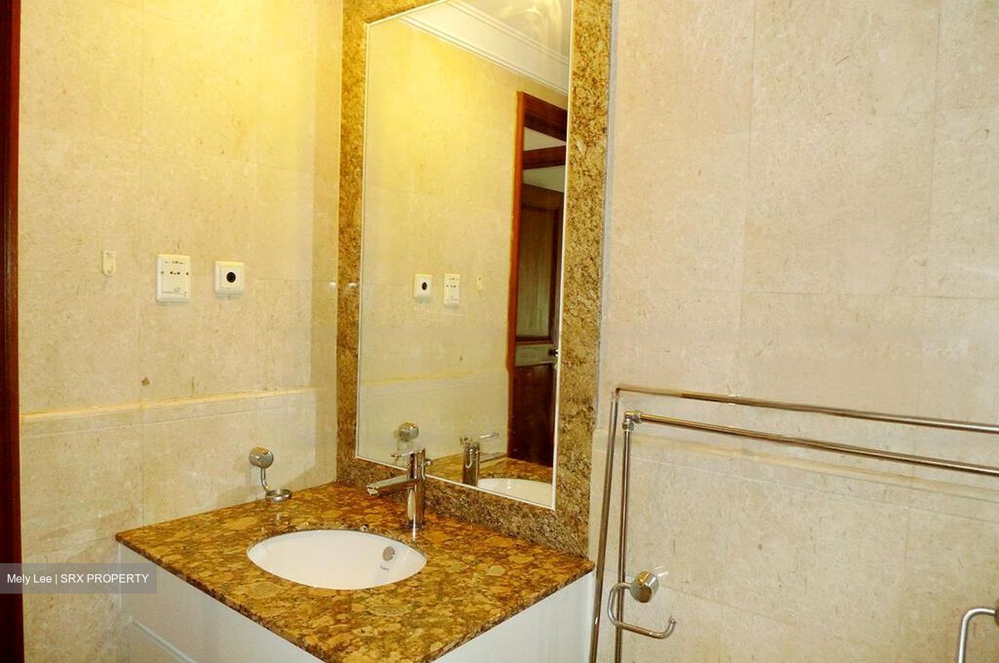 Valley Park (D10), Condominium #482032631